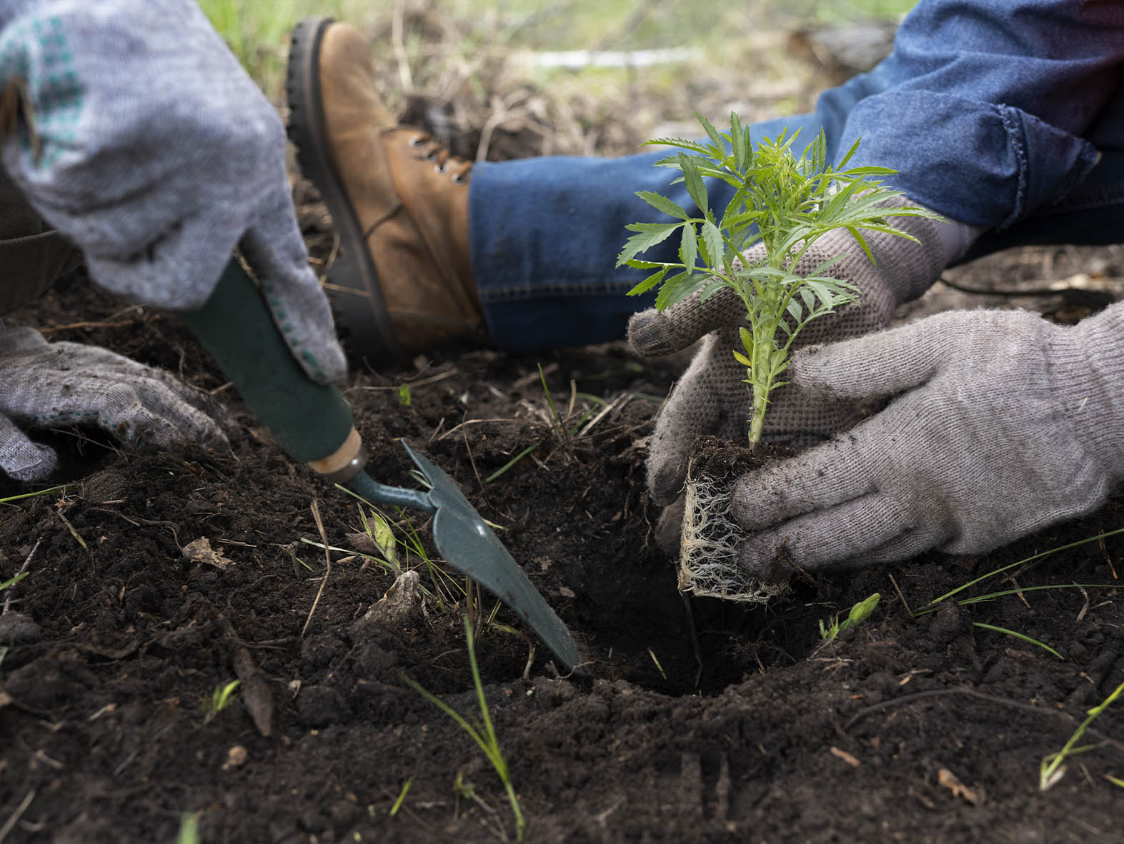 Sustainability Initiative